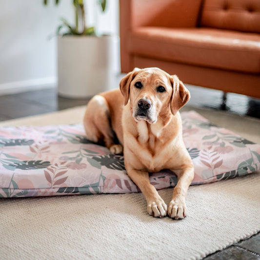 Botanica Mattress Cover - Botanica