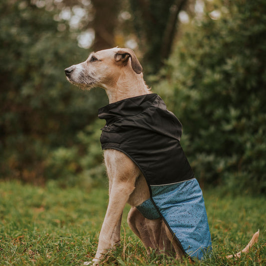 Reversible Raincoat Puffer