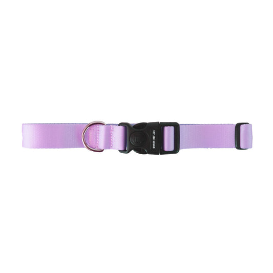 Sorbet Collar - Sorbet