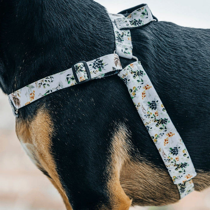 Evergreen OG No-Pull Training Harness