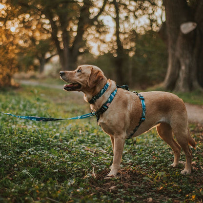 Nova Explorer Chest Plate - Nova