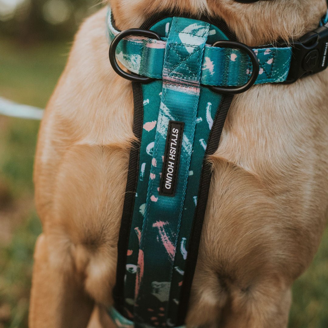 Nova Explorer Chest Plate - Nova