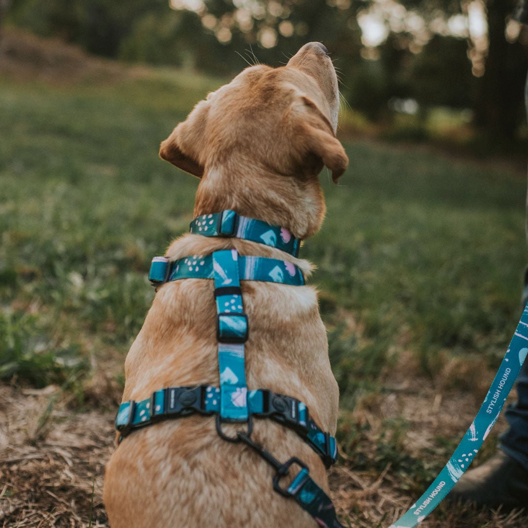 Nova Explorer Chest Plate - Nova