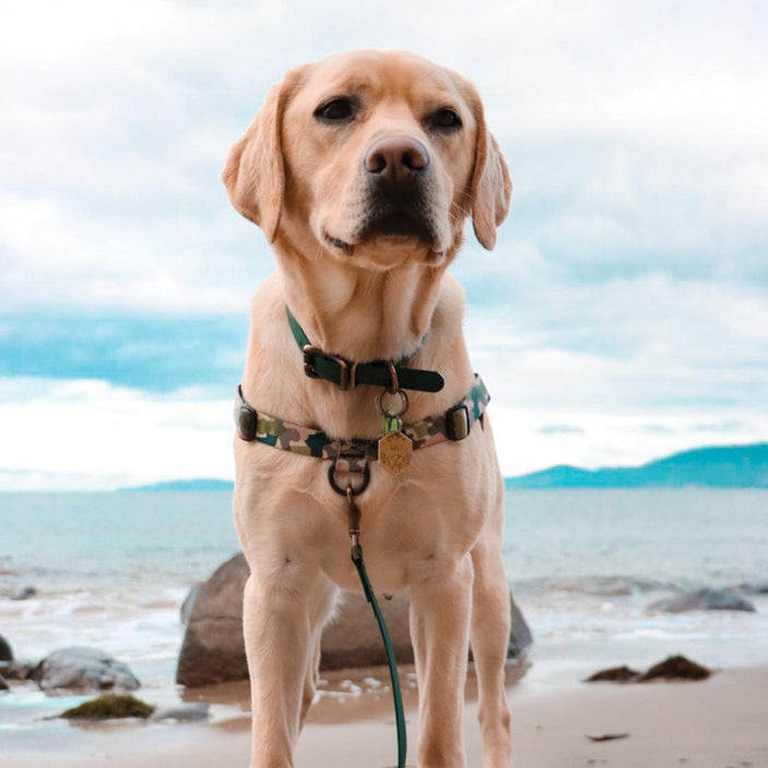 On Duty OG No-Pull Training Harness