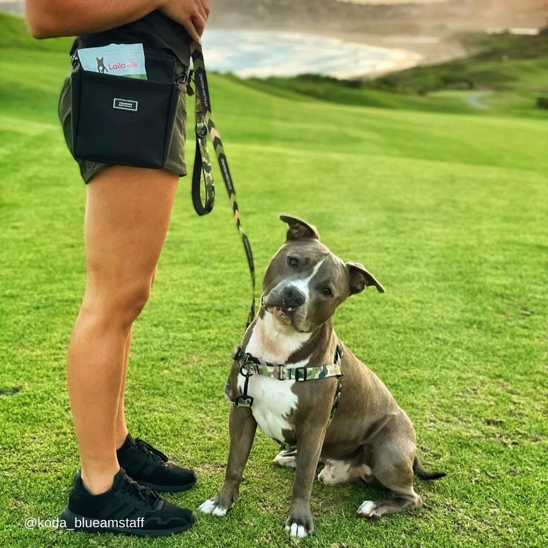 On Duty RNT No-Pull Training Harness - On Duty