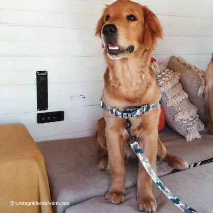 On Duty RNT No-Pull Training Harness - On Duty