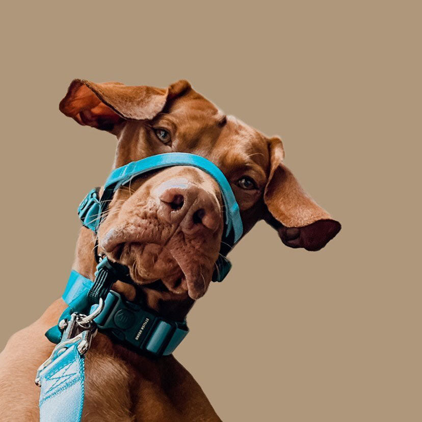 Quartz Halter - Quartz